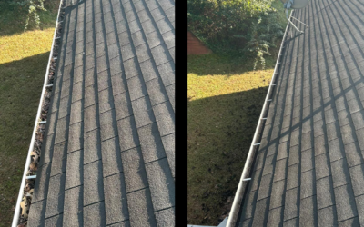 Gutter Cleaning 101: Avoiding Costly Home Repairs