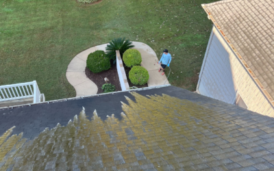 How to Protect Your Roof: The Importance of Regular Roof Cleaning